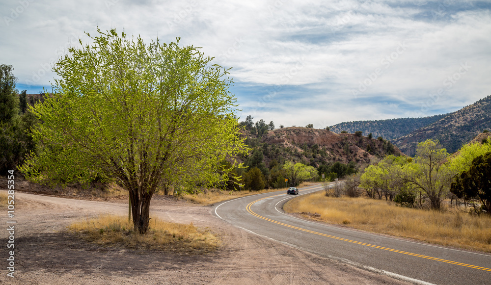 Fototapeta premium Open Road