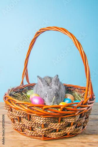 rabbit in wicker basket