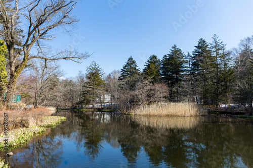 Fototapeta Naklejka Na Ścianę i Meble -  Water pond in karuizawa
