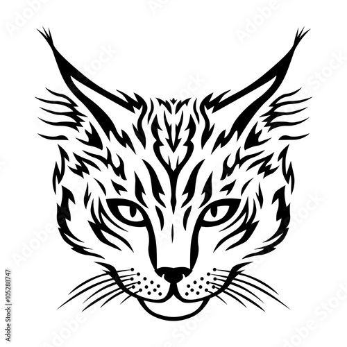 Maine Coon cat muzzle