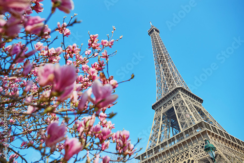 Spring in Paris © Ekaterina Pokrovsky