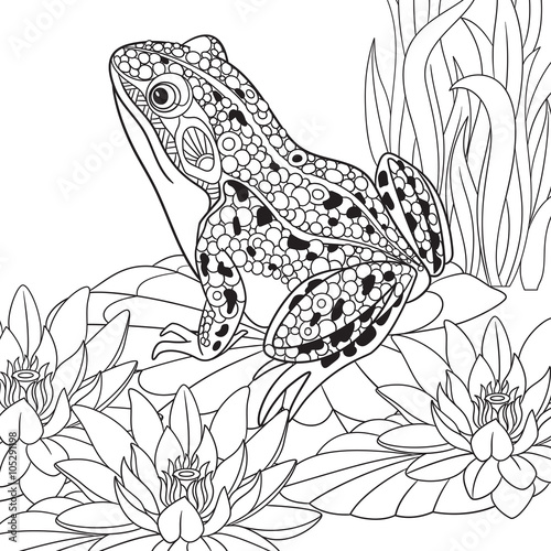 Fotografie, Obraz Zentangle stylized cartoon frog sitting among lotus flowers, water-lilies