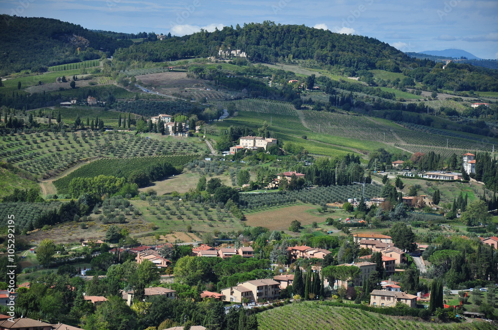 Naklejka premium Toskania