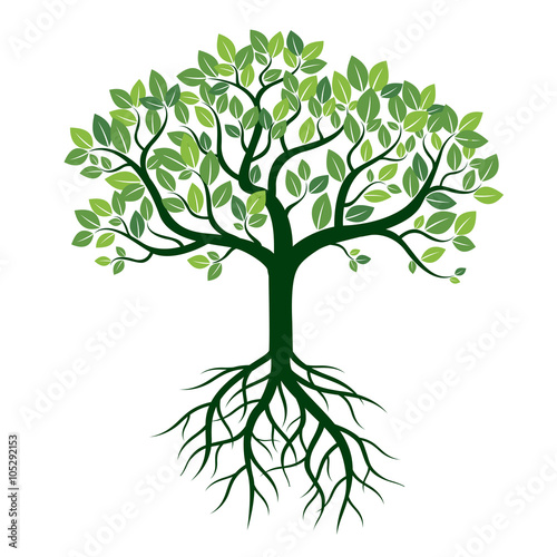 Color Tree and Roots. Vector Illustration.