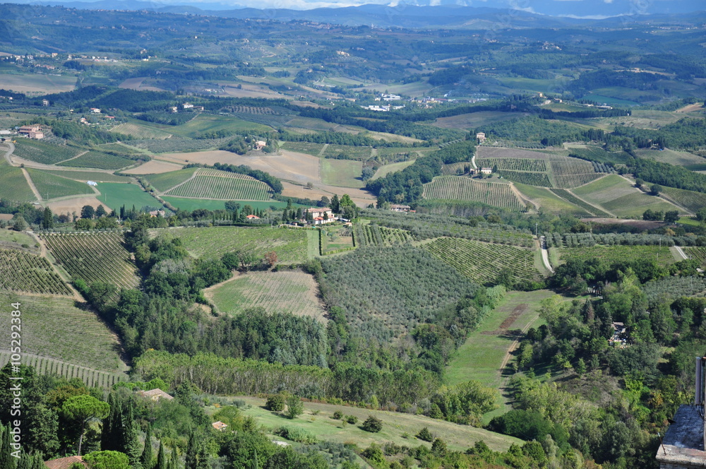 Naklejka premium Toskania
