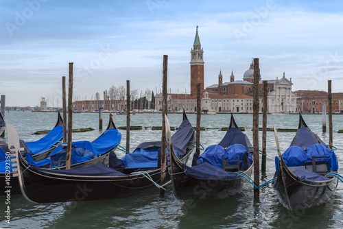 Venice e piccioni © alexmat46