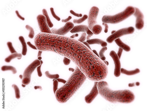 Virus cells