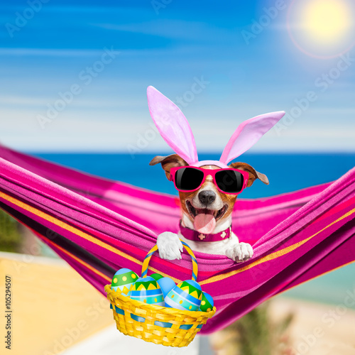 Vacation easter dog