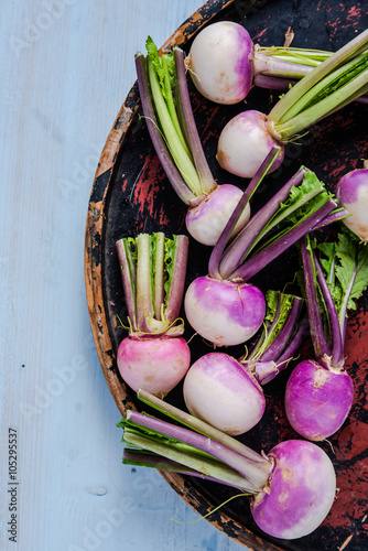 Spring fresh young purple turnip