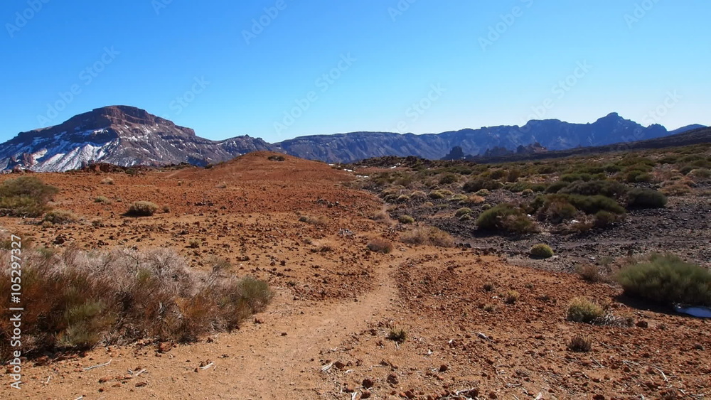 Walking in Parque Nacional del Teide – Teide National Park, Canary Islands, Spain
Walking in Parque Nacional del Teide – Teide National Park, Canary Islands, Spain