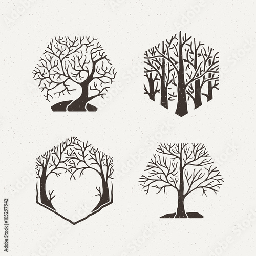 Hexagon trees set. Vector illustration. Pattern geometric figure.