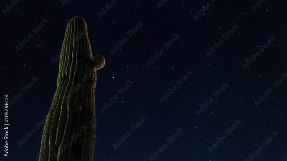 Stars move behind a giant saguaro cactus - time lapse