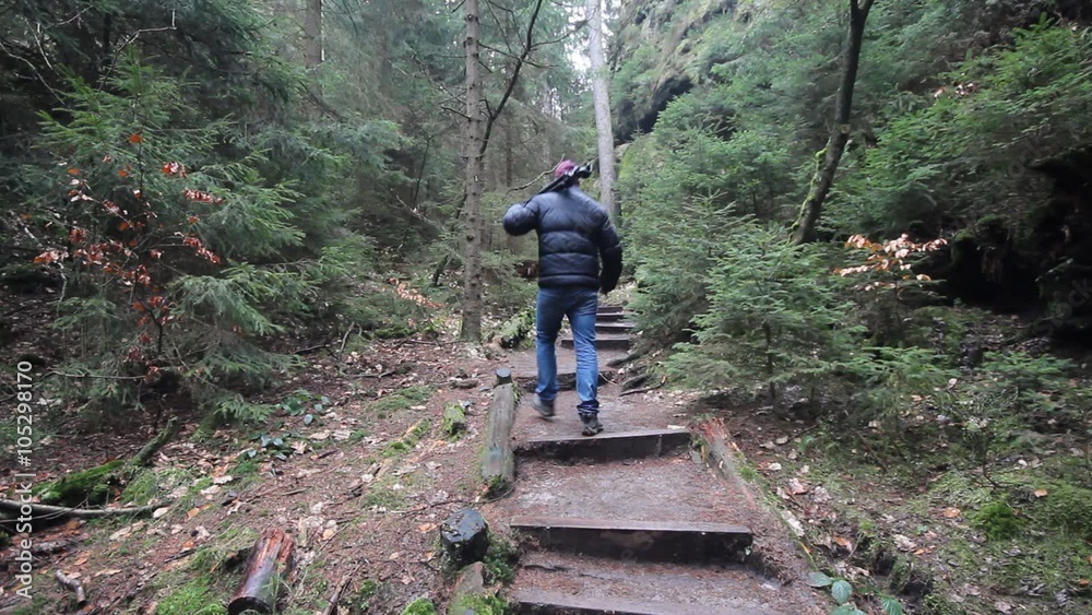 man walks through forest landscape man walks through forest landscape