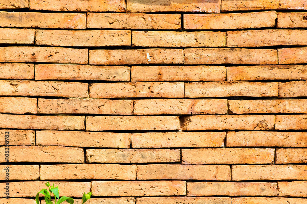 Fototapeta premium brick wall texture background