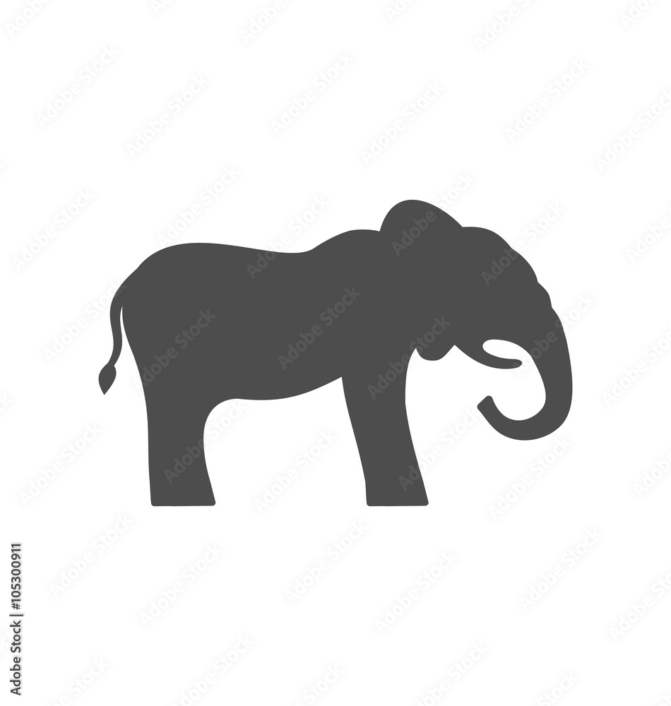  Elephant Silhouette Isolated on White Background