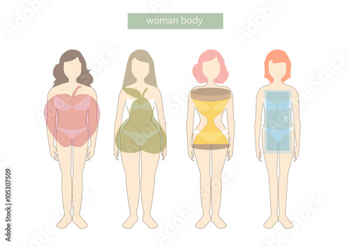 Set of female body shape Types,vector illustrations