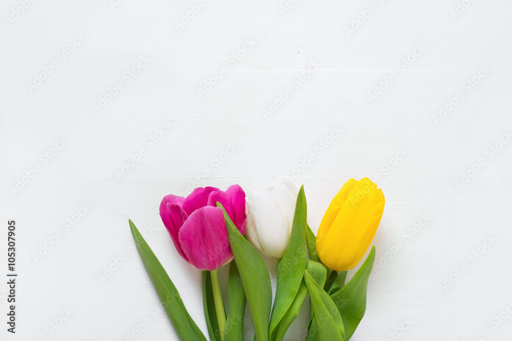tulips on a white wooden background, view from above