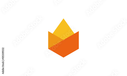 Fire Logo Template