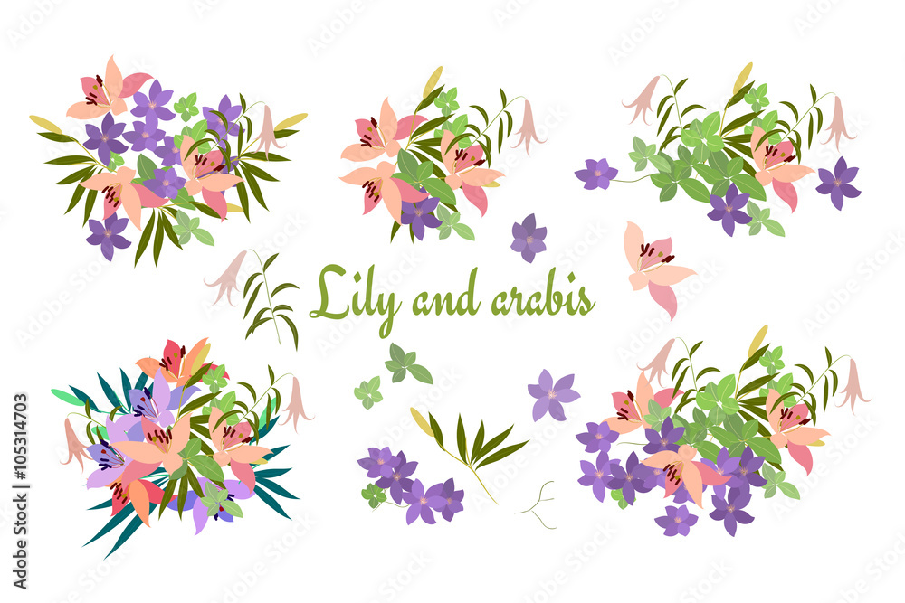 Vector greeting card pink lily and violet arabis flower arrangement