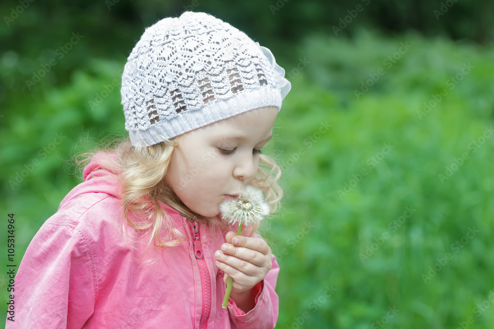 Little Caucasian girl holding and blowing on white dandelion pod Little Caucasian girl holding and blowing on white dandelion pod