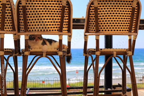 Cafe on the seaside, Tel Aviv, Israel.