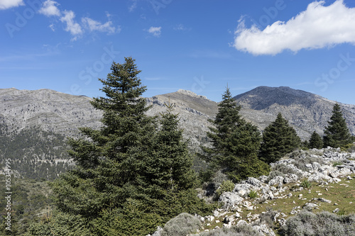 parques naturales de España, Sierra de las Nieves en la provincia de Málaga, Andalucía