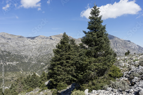 parques naturales de España, Sierra de las Nieves en la provincia de Málaga, Andalucía