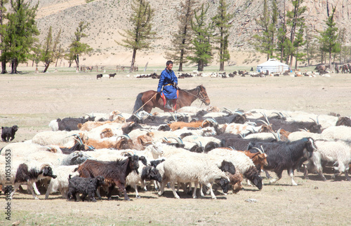 Mongolian herders