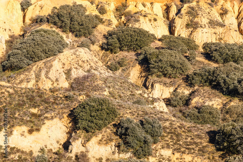 Cárcavas. Barrancos de arcilla y encinas. Las Torcas. Barrientos, León, España. photo