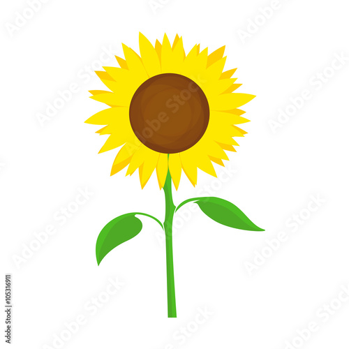 Fototapeta Naklejka Na Ścianę i Meble -  Sunflower Vector Symbol