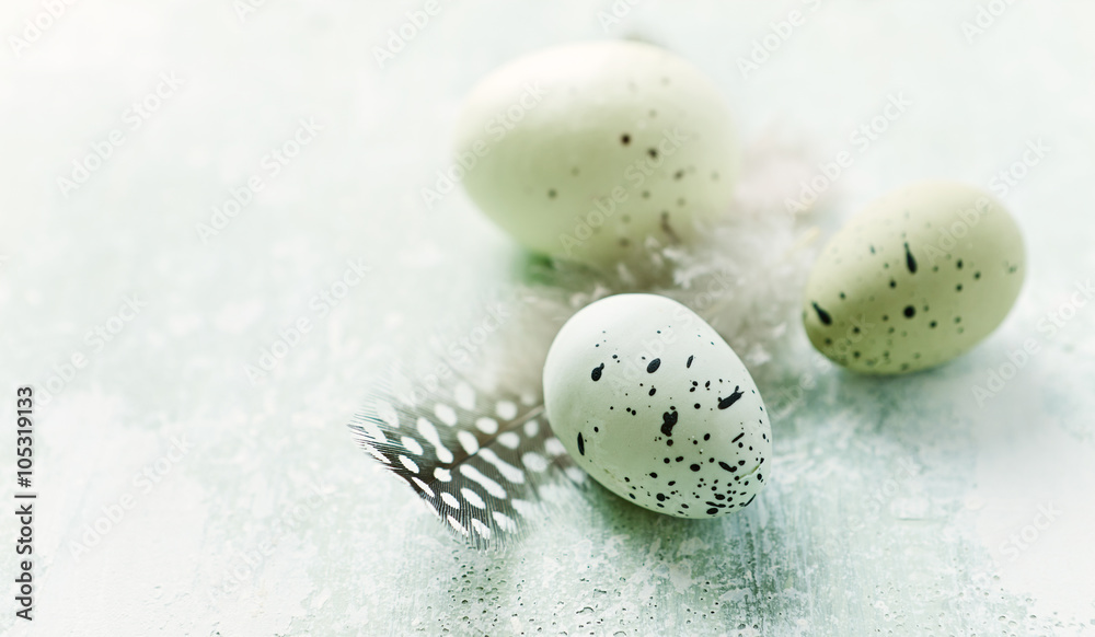 Obraz premium Speckled Easter eggs and feathers on a wooden surface 