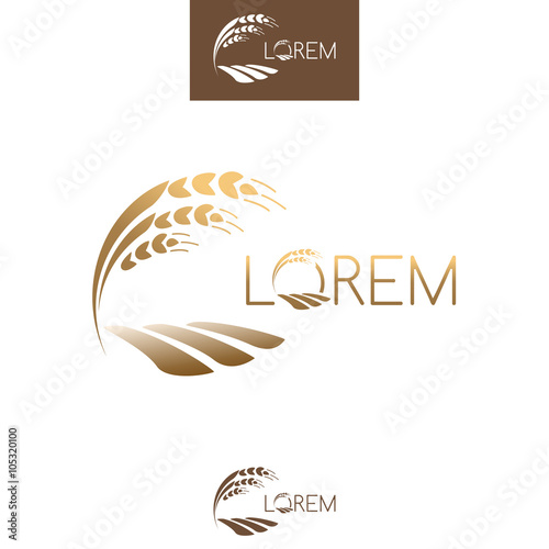 Sprout grain logo, gold ripe seedling, growing plant. Vector tem