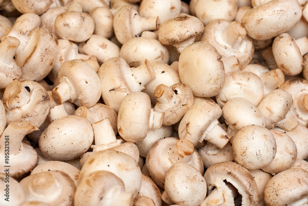 background of fresh whole mushrooms, closeup