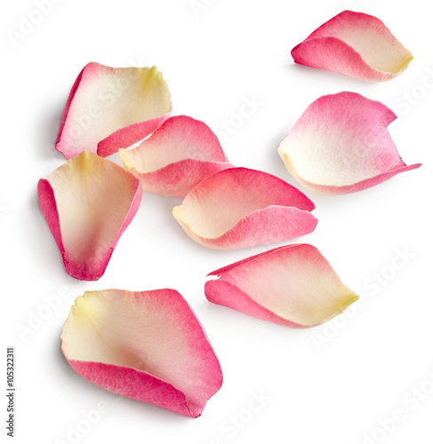 Rose petals