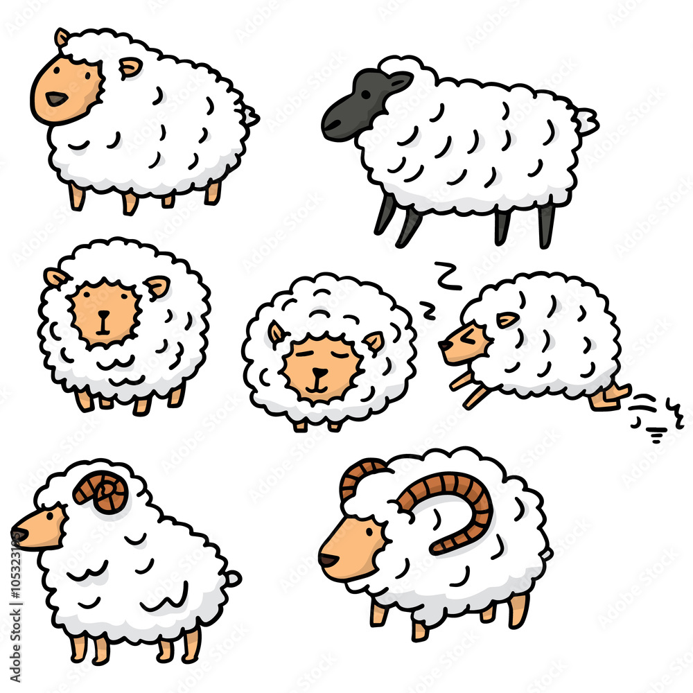 Obraz premium wektor zestaw owiec