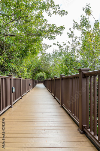 Wood Walkway Through Tropical Forest