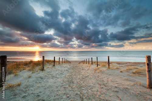 romantic path to sand beach at sunset