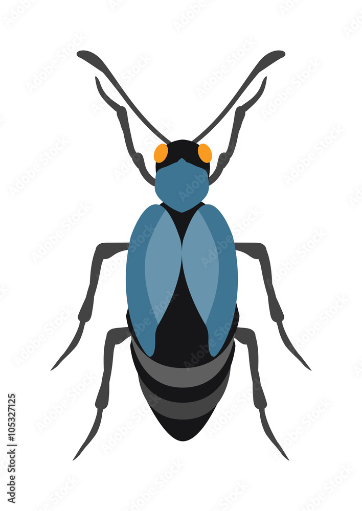 Beetle flat insect bug in cartoon style vector