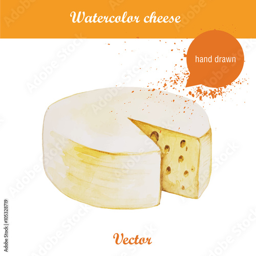 Watercolor illustration of cheese wheel. Organic fresh food. Vector hand drawn.