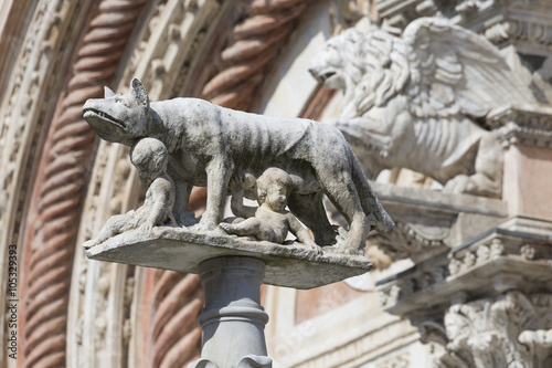 A she-wolf suckling the infants Romulus and Remus. Siena in Ital