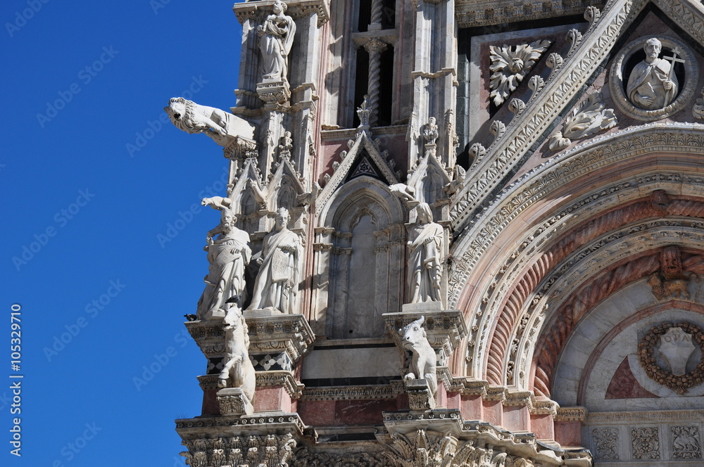 Fototapeta premium Katedra,