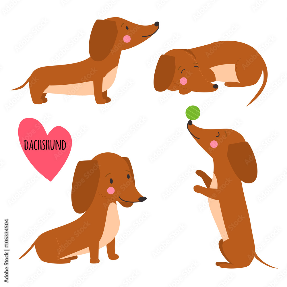 Cute dachshund set
