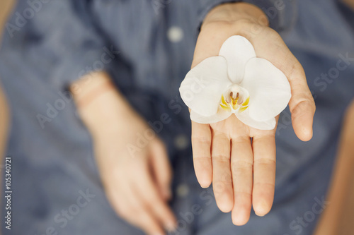 Woman hands holding a flower, with focus on a flower