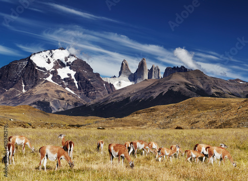 Torres del Paine, Patagonia, Chile