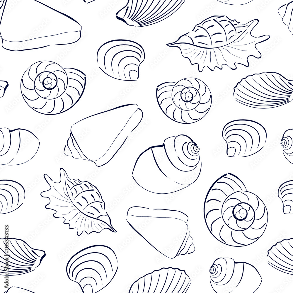 Seashells white seamless background Seashells white seamless background