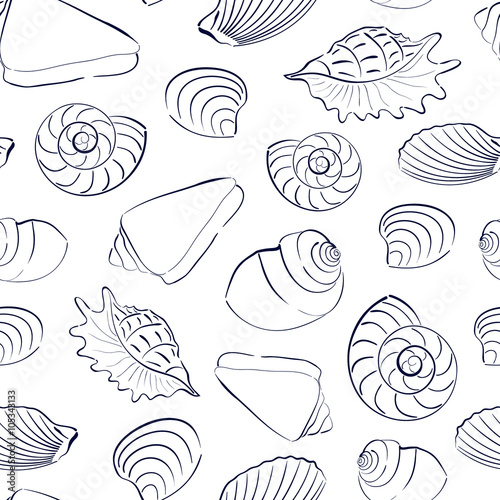 Seashells white seamless background