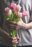 Bouquet of pink tulips in female hands