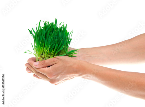 Grass in hands on the white
