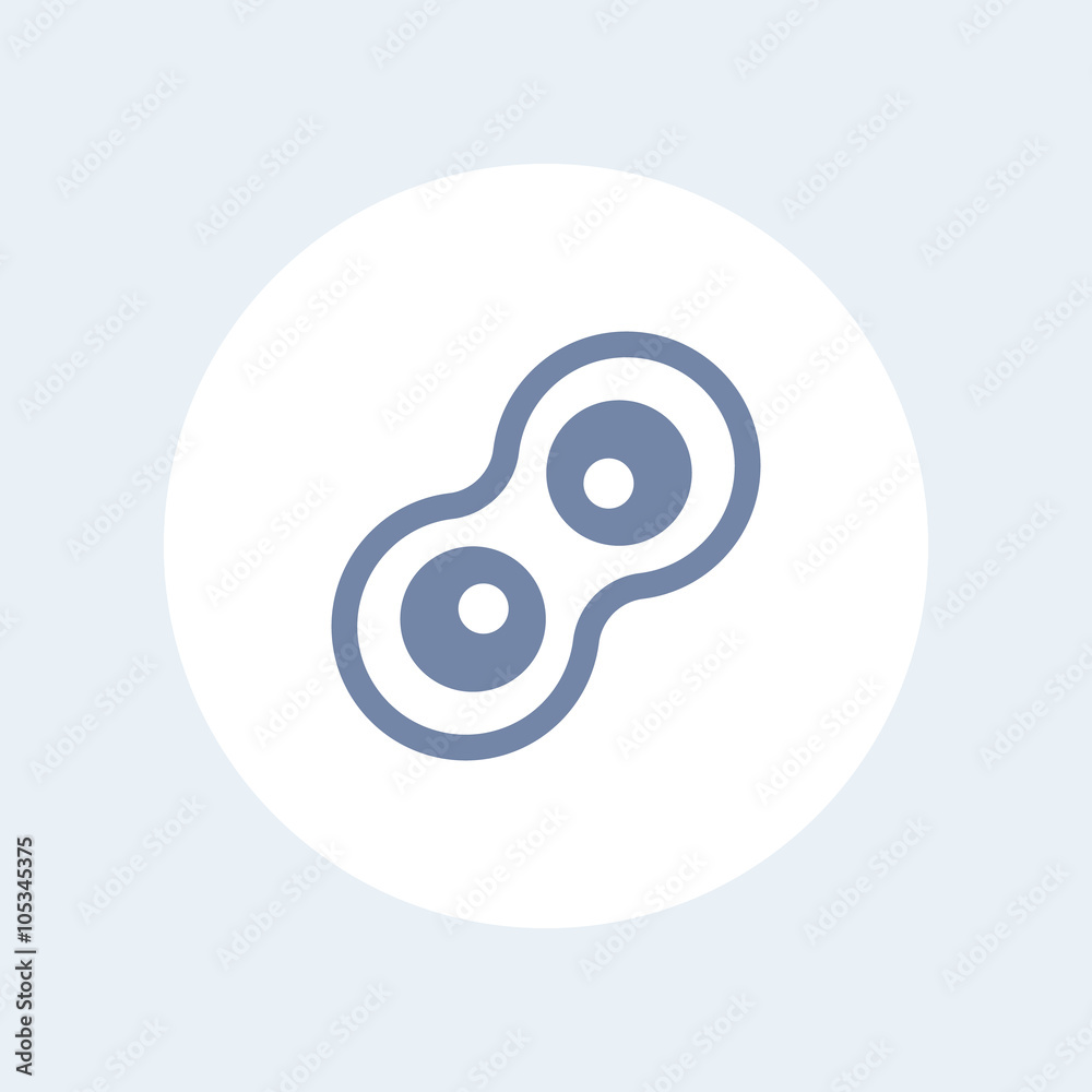 Cell division process flat icon, cell divides into two, cell isolated icon, vector illustration Cell division process flat icon, cell divides into two, cell isolated icon, vector illustration