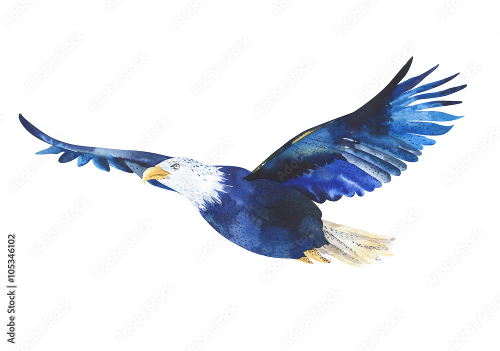Obraz premium Watercolor isolated illustration of a bird eagle in white backg
